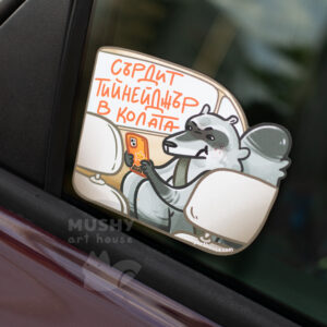 Teenager Car Sticker